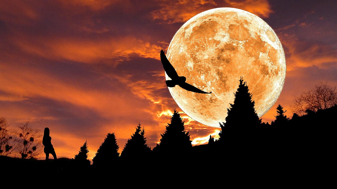 composing, image editing, fantasy, moon, silhouette, mystical, fairy tale, night sky, mysticism, raptor, darkness, atmospheric, fantasy, fantasy, fantasy, moon, moon, moon, moon, moon