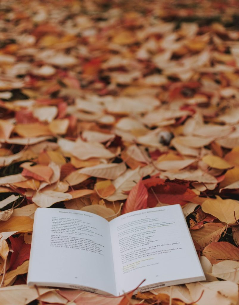 fall, leaves, a book, mood, mystical, read, the atmosphere, nature, fairy tale